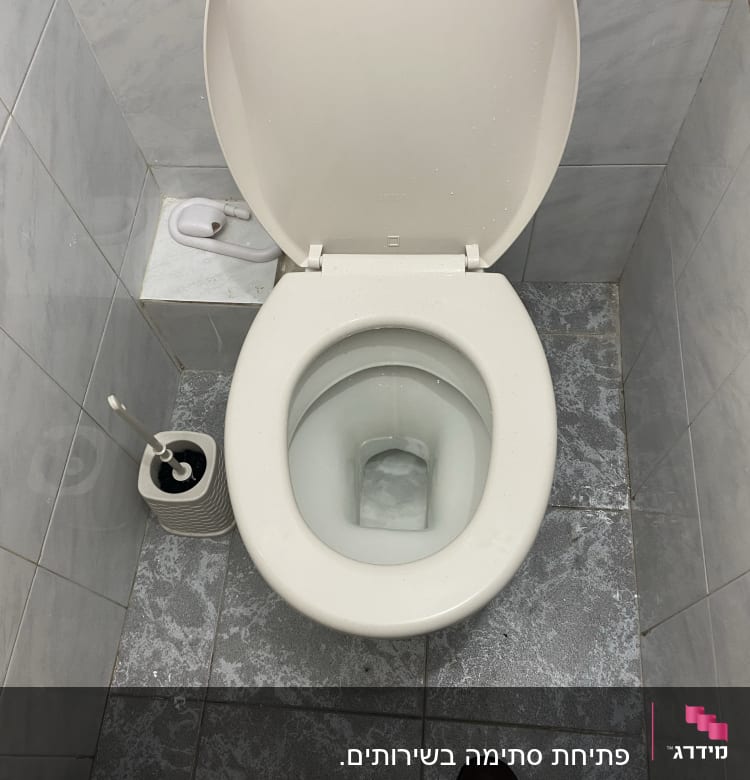אסלה פתוחה עם מברשת ניקוי ליד